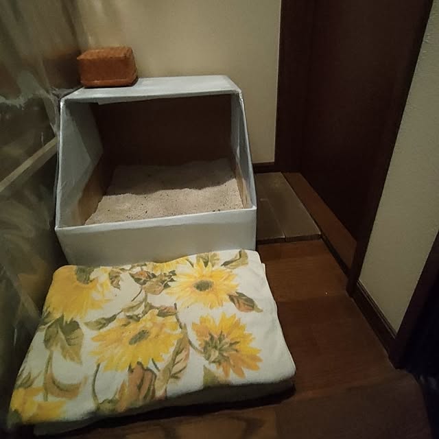 mori_6_12さんの実例写真