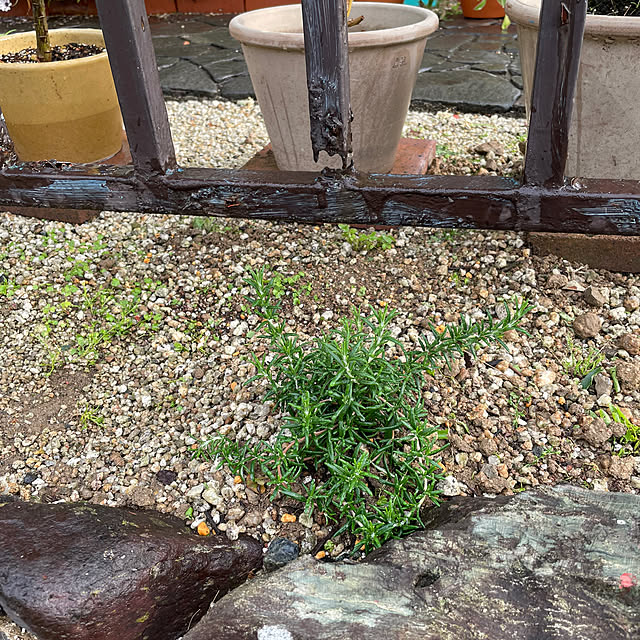 shin0719さんの部屋