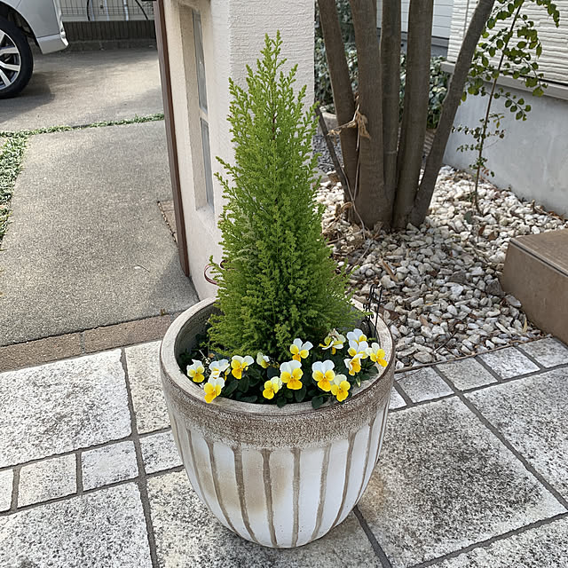 Y.Sさんの実例写真