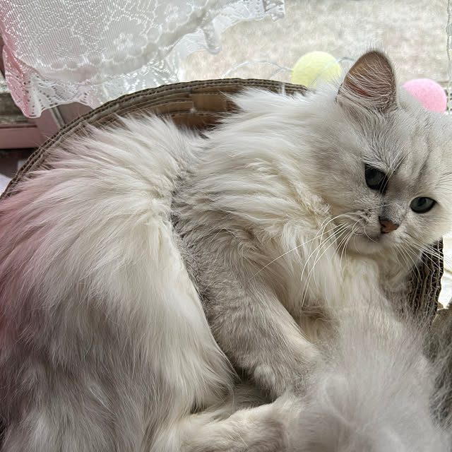 ikunyanさんの部屋