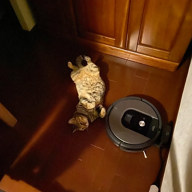 hansho.sさんの実例写真
