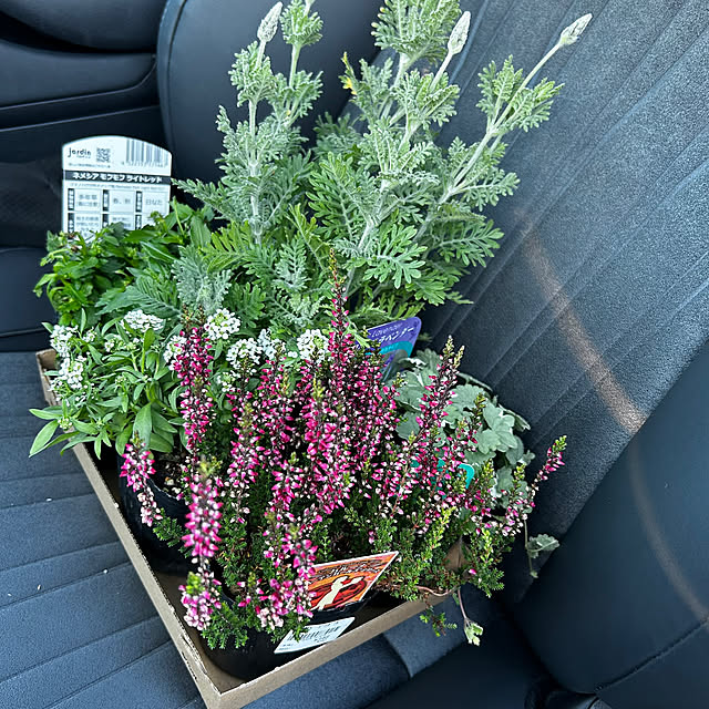 skhrさんの実例写真