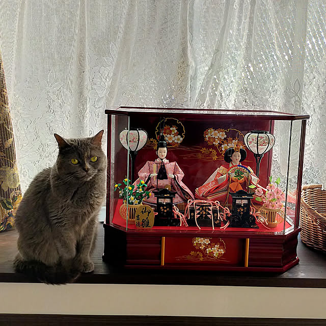charlotteさんの実例写真
