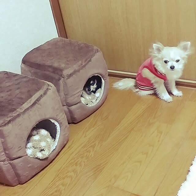 nanasuke0106さんの実例写真