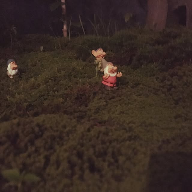 kokepapaさんの実例写真