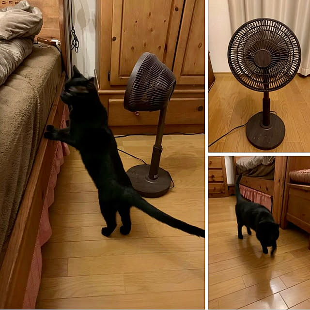 tabasaさんの実例写真