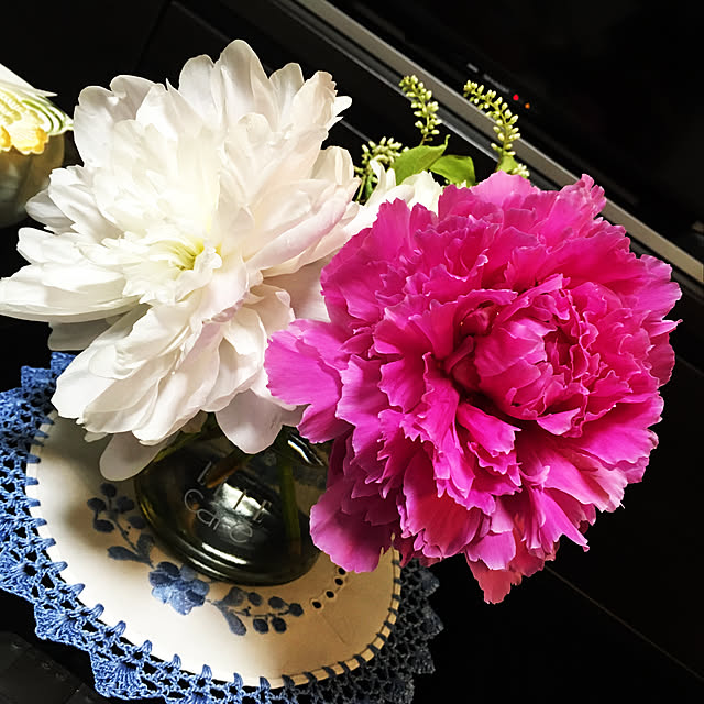 Camelliaさんの実例写真