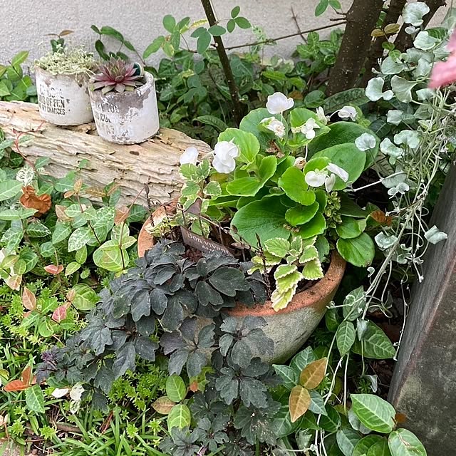 min_nimさんの実例写真
