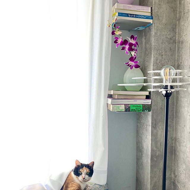 neko84さんの部屋