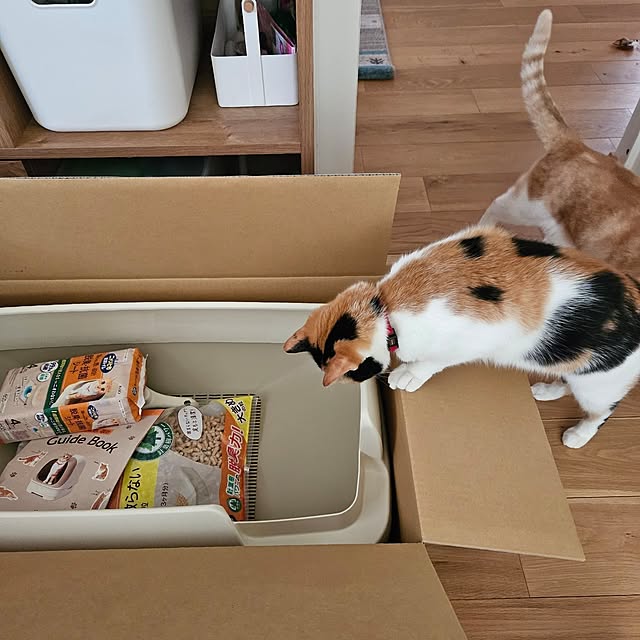 koyurizuさんの部屋