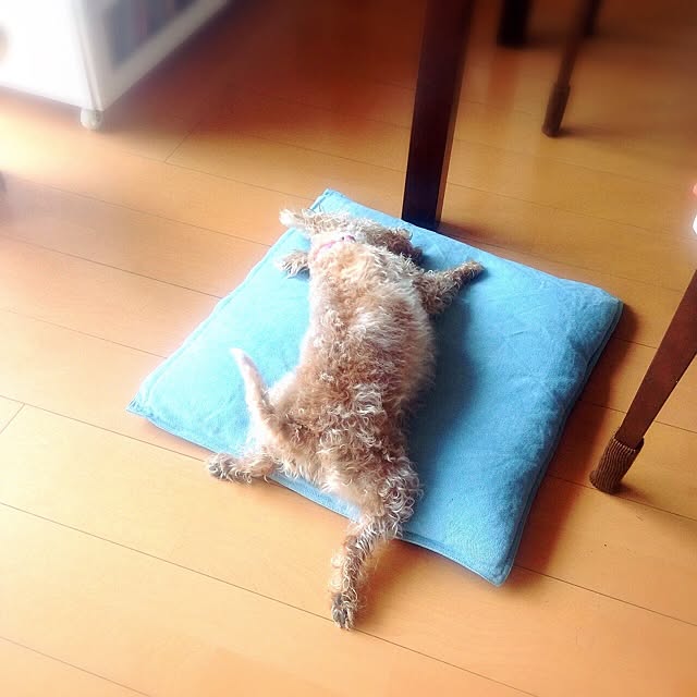 yさんの実例写真