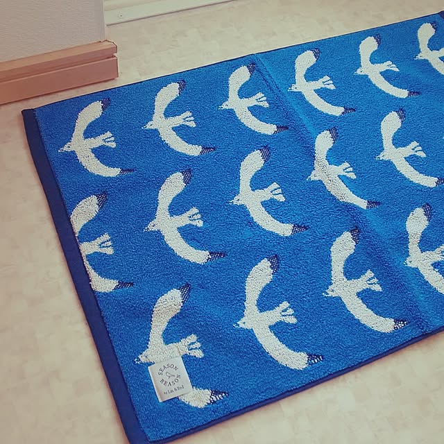 KOHAKUさんの実例写真