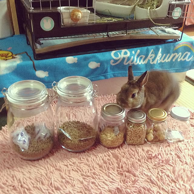 yuzu0223さんの実例写真
