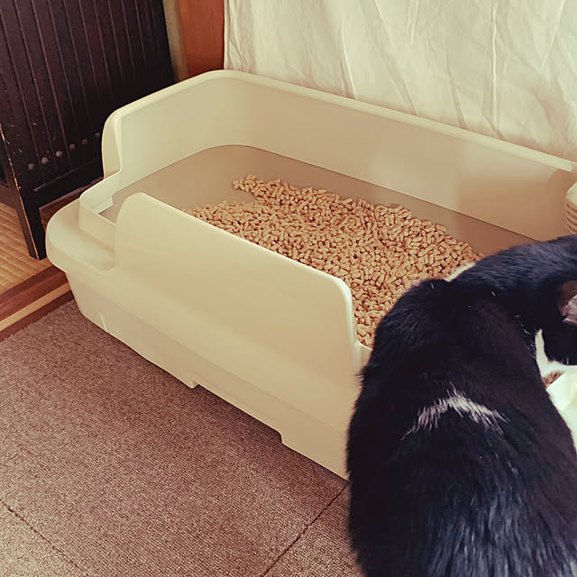 nanohanaさんの部屋