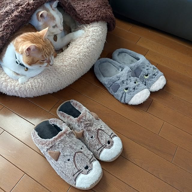 NOAHさんの部屋