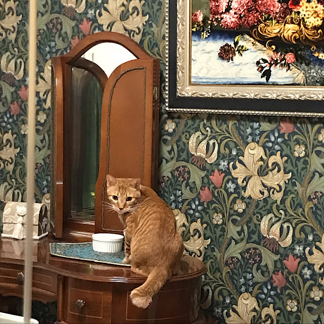jumpさんの実例写真