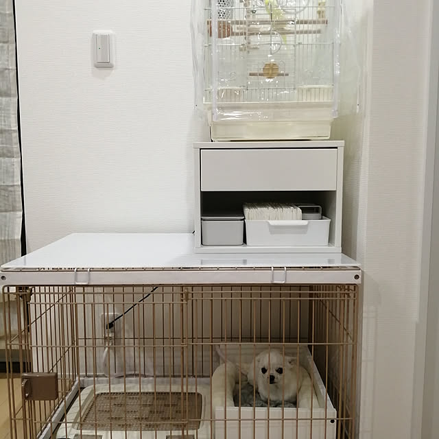 aoipisuke1010さんの実例写真