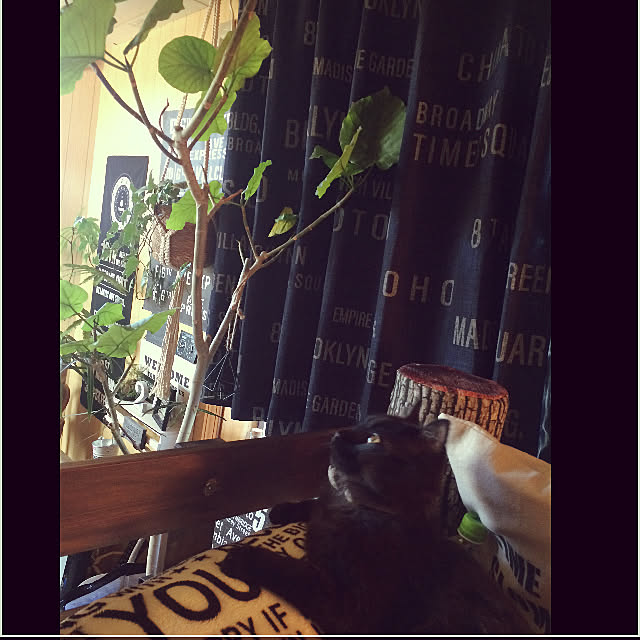 chocolatさんの実例写真