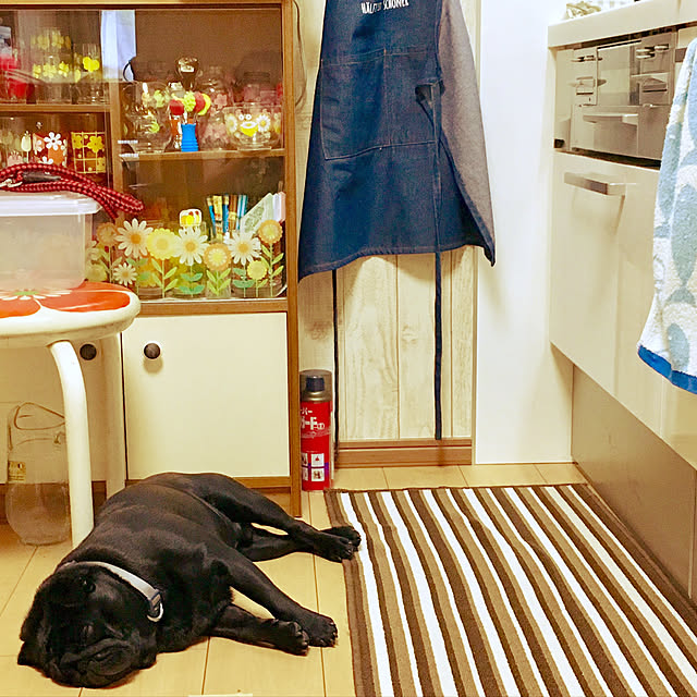 kopandaさんの実例写真
