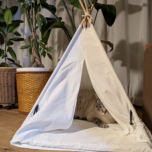 isikoro.DIYさんの実例写真