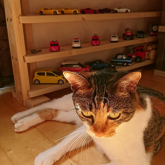 kmokhoさんの実例写真