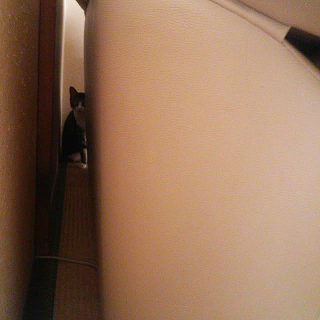 Tomopさんの実例写真