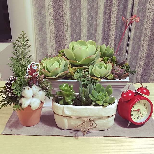 hatsuさんの実例写真