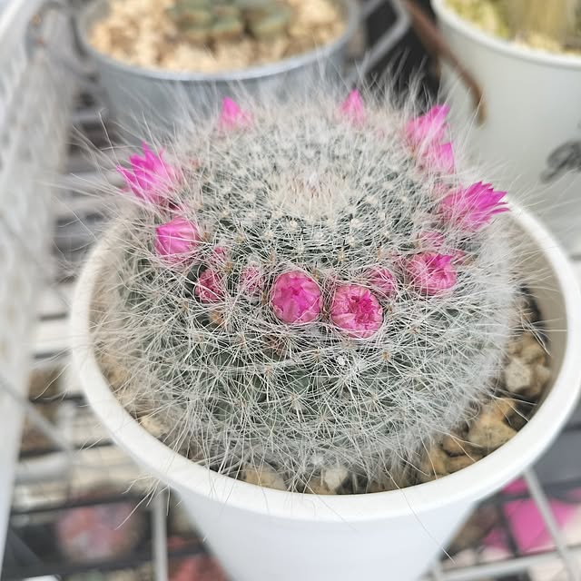 aoiroさんの部屋