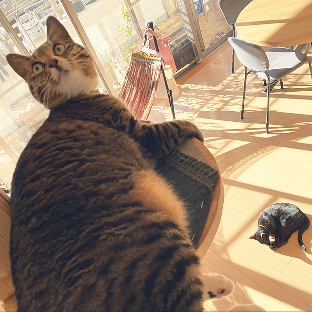suemonta14さんの実例写真