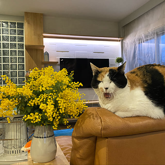 mtkさんの実例写真