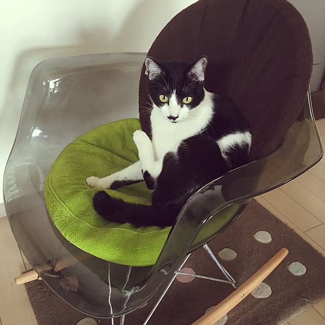 amaneさんの実例写真