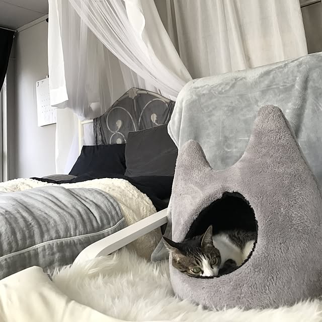 Shihoさんの実例写真