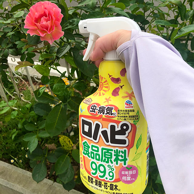 tomoさんの実例写真