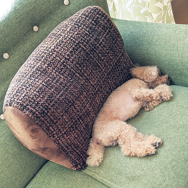 HIROMINさんの実例写真