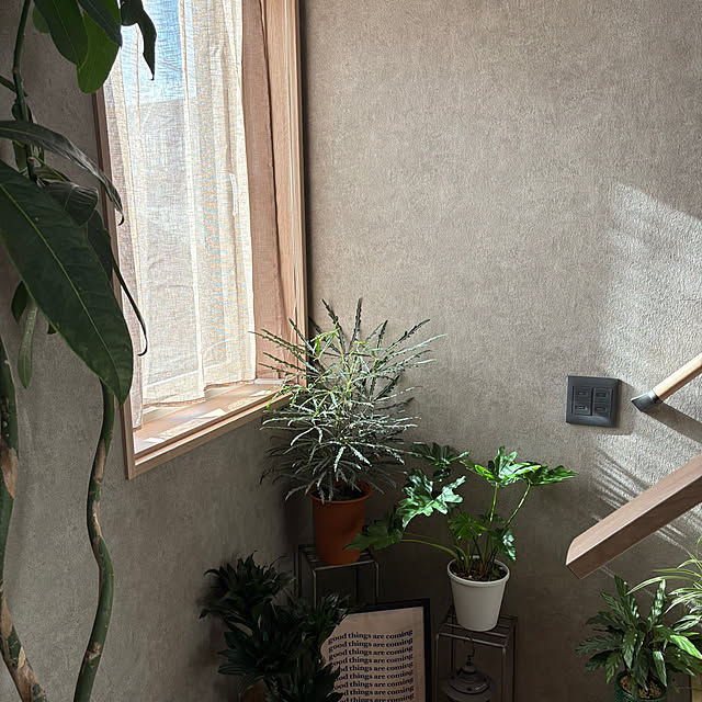 Rさんの実例写真