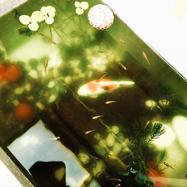 haln_clipさんの実例写真