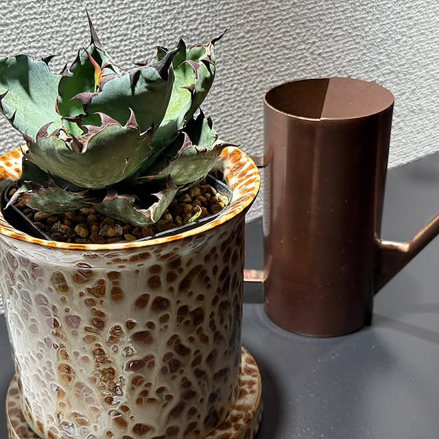 Yusukeさんの実例写真