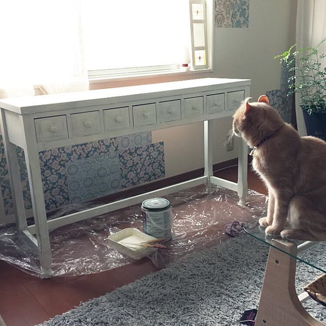 cottonさんの実例写真