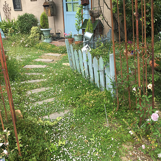shigimiさんの実例写真