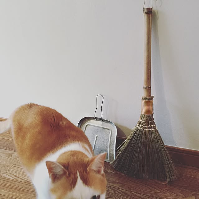 torarararikoさんの実例写真