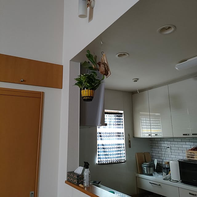 reguさんの部屋
