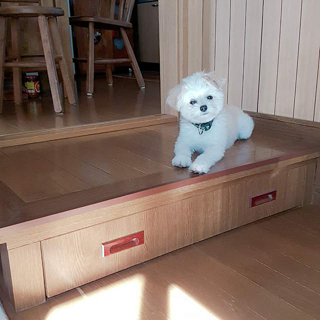 Kekoponさんの実例写真