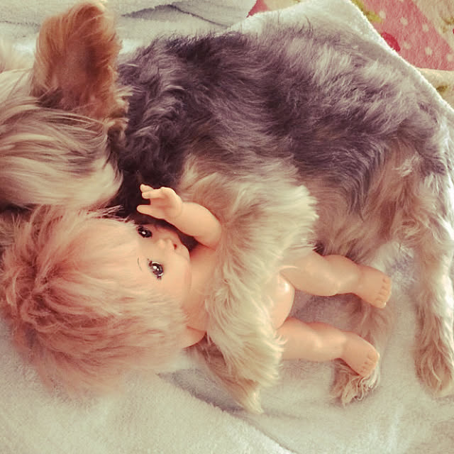marcheさんの実例写真
