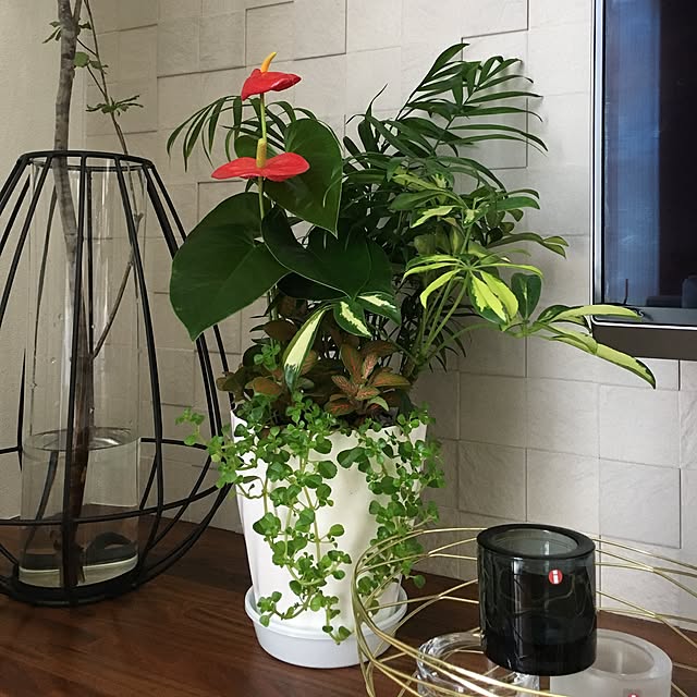 miyabi_homeさんの実例写真