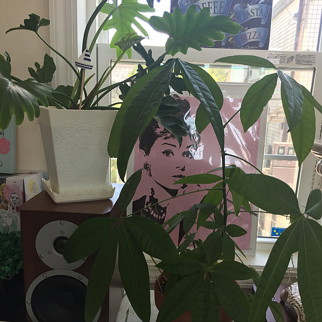 Andaluciaさんの実例写真
