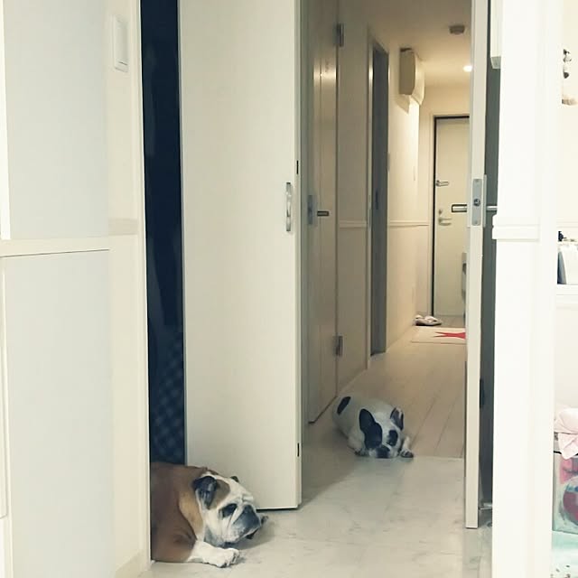 panchobiさんの実例写真