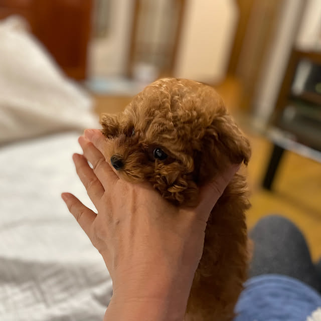 mamizaさんの実例写真