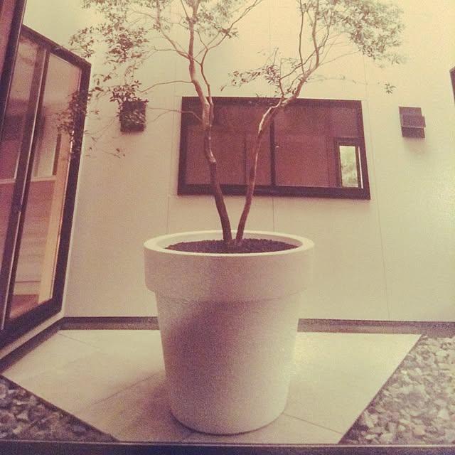 abcさんの実例写真