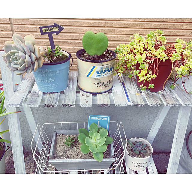 kaさんの実例写真