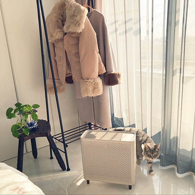 yori_miniさんの実例写真
